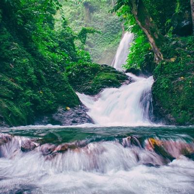精灵乐章这样的伙伴没问题吗手游下载